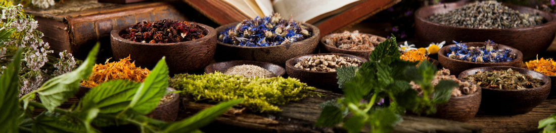 What are Fougère Fragrances?