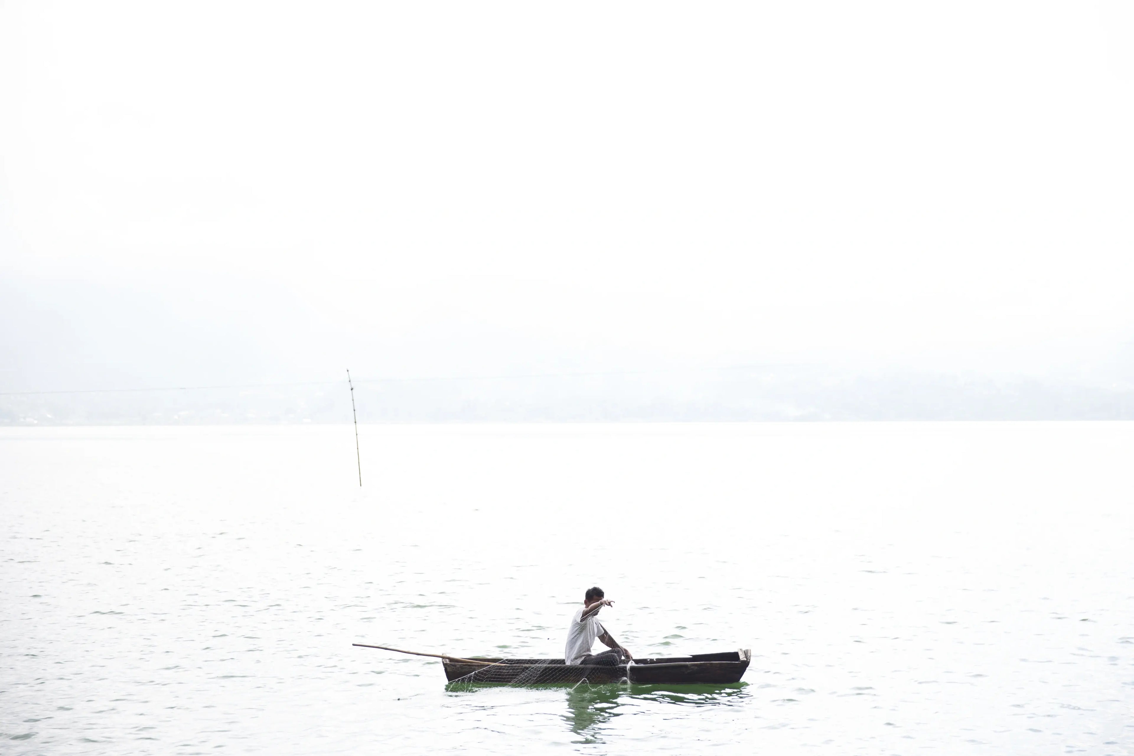 White sky
