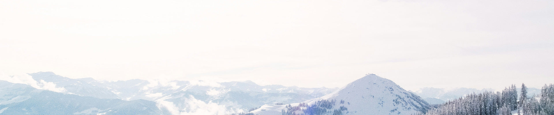 Winter Fragrance